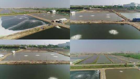 广州南沙鱼塘捕鱼顺德水乡生态养殖基地航拍高清在线视频素材下载