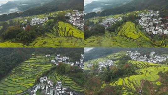 婺源江岭油菜花梯田徽派建筑古村落高清在线视频素材下载