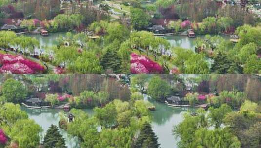4k航拍春天的扬州瘦西湖高清在线视频素材下载