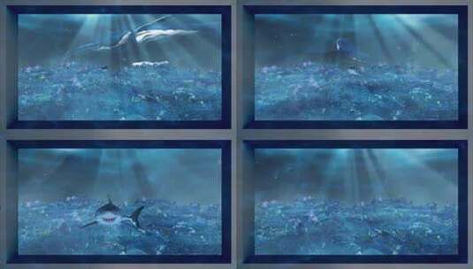 直角屏3d鲨鱼(可定制）高清在线视频素材下载