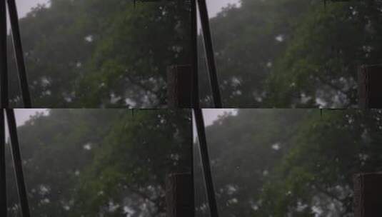 雨天雨季树林树荫树叶高清在线视频素材下载