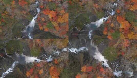 4k秋季山林广告宣传航拍高清在线视频素材下载