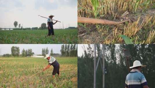 农民辛勤劳作脚步土地耕地锄地升格辛苦父亲高清在线视频素材下载