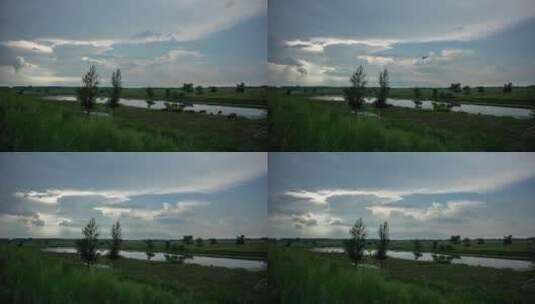 湿地草原辽河沈阳乌云放牛牧牛延时摄影高清在线视频素材下载