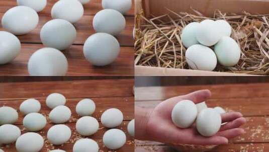 绿壳鸡蛋高清在线视频素材下载