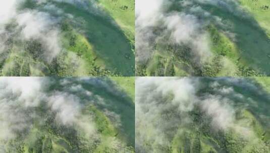 航拍青山森林云雾缭绕高清在线视频素材下载
