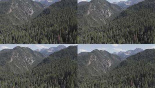 美国福克峡谷的瓦萨奇山脉，令人难以置信的无人机景观高清在线视频素材下载