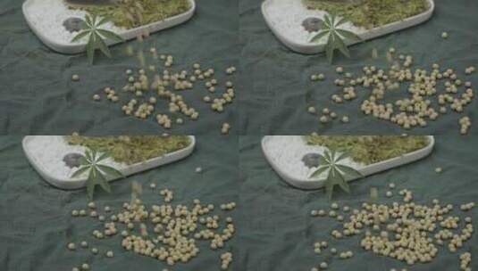 黄豆大豆掉落高清在线视频素材下载