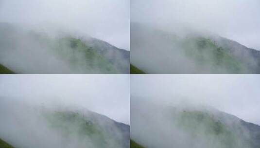 森林云海山峰云雾缭绕雨后树林山林山脉风景高清在线视频素材下载