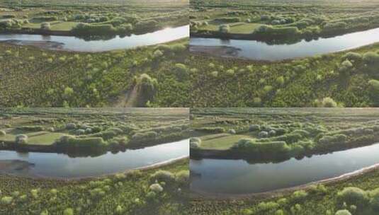 航拍春季湿地河岸花开高清在线视频素材下载