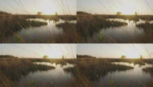 大草原上被干草环绕的湖泊高清在线视频素材下载