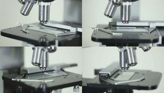 显微镜 实验室 研究 科学家高清在线视频素材下载