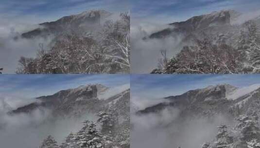 4K秦岭朱雀国家森林公园（冰晶顶）雪景航拍高清在线视频素材下载