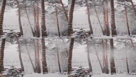大风刮落树枝上的积雪高清在线视频素材下载