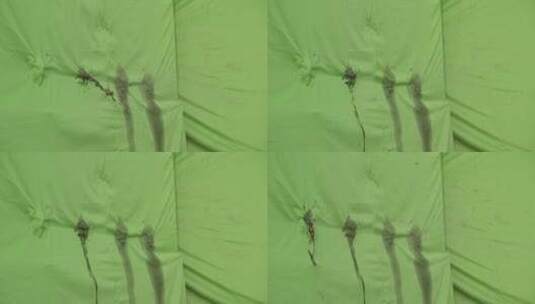 高清实拍喷血绿布抠像素材02高清在线视频素材下载