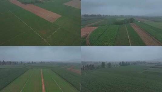海南农业农田航拍高清在线视频素材下载