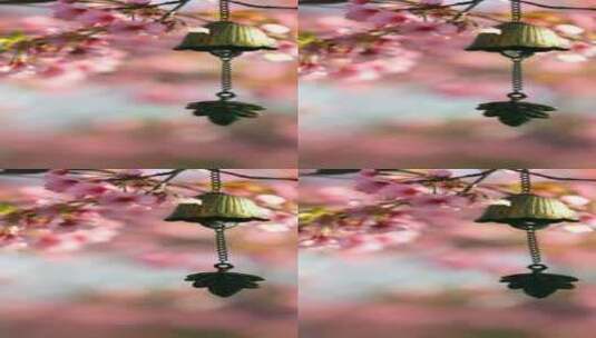 竖屏风铃樱花树下唯美风铃特写高清在线视频素材下载