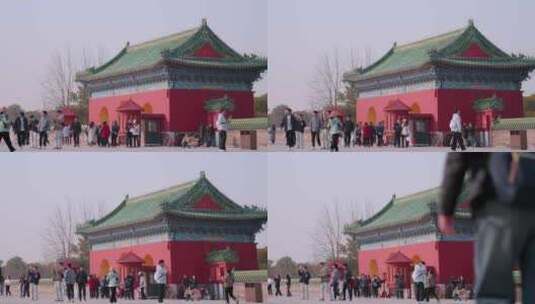 北京市天坛公园游客拍照的游客高清在线视频素材下载