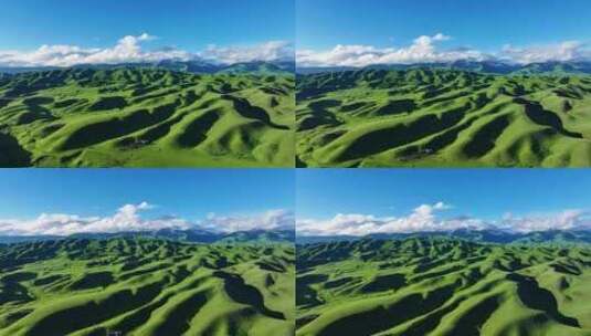 新疆大草原伊犁恰西大草原那拉提高清在线视频素材下载