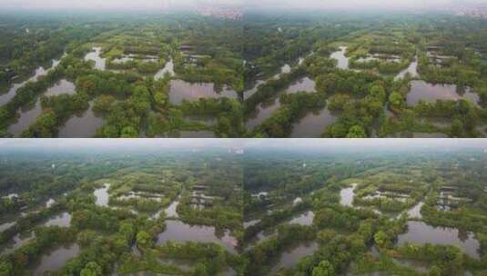 杭州西溪湿地公园夏天风光航拍高清在线视频素材下载