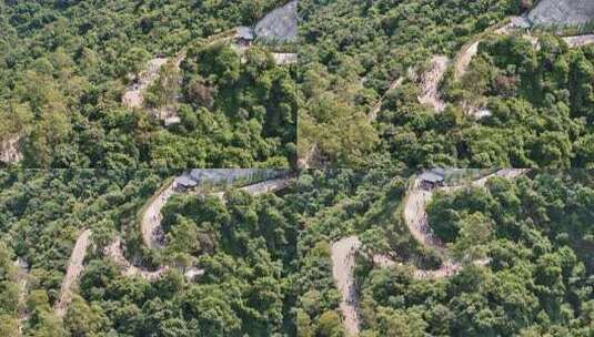 广东观音山国家森林公园第十二届登山大赛高清在线视频素材下载