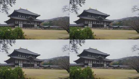 日本奈良的大型传统东大寺，游客高清在线视频素材下载