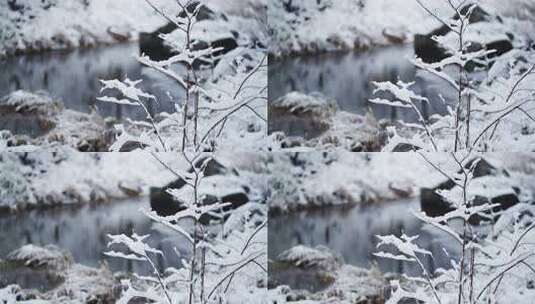 伏牛山冬季雪景雾凇高清在线视频素材下载