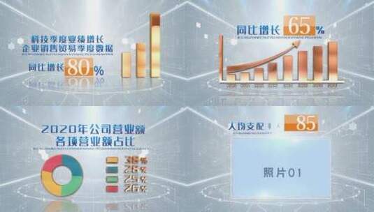 白色数据图表文字高清AE视频素材下载