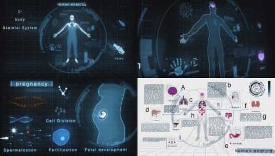 HUD 200+种科技人体解剖学动画UI界面元素高清AE视频素材下载