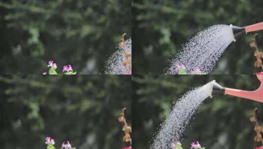 花洒、浇花的水壶01高清在线视频素材下载