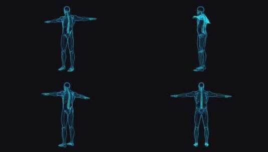 人体骨骼透视全息高清在线视频素材下载