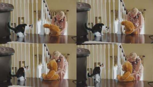 一个女人给一只猫看一只泰迪熊，猫害怕玩具有趣的宠物视频高清在线视频素材下载