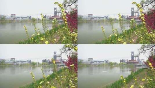 春季楼宇河边绿化带植物高清在线视频素材下载
