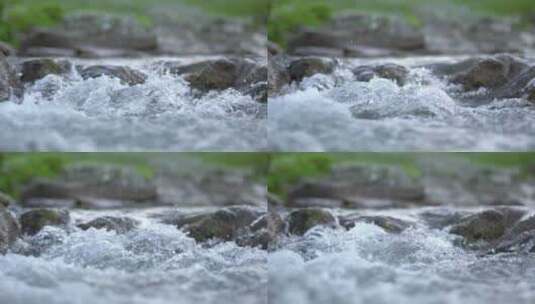 小溪上流淌的水高清在线视频素材下载