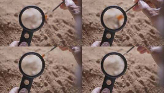 考古发掘人员用刷子和放大镜轻轻扫去沙泥高清在线视频素材下载
