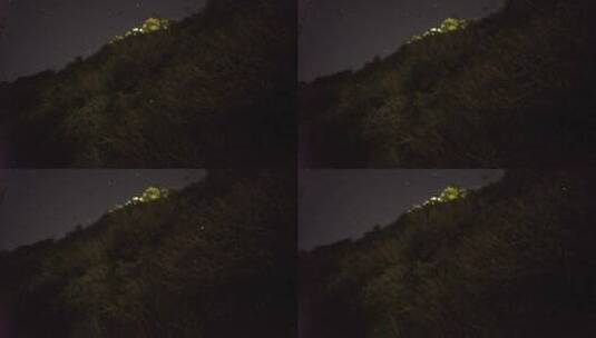 夜晚灌木丛中的虫鸣高清在线视频素材下载