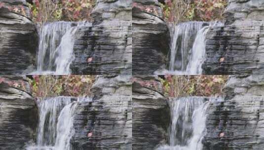 瀑布 小溪 秋景 水流 岩石高清在线视频素材下载