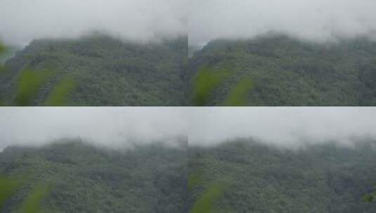 深山雨林夏季雨季云雾缭绕高清在线视频素材下载
