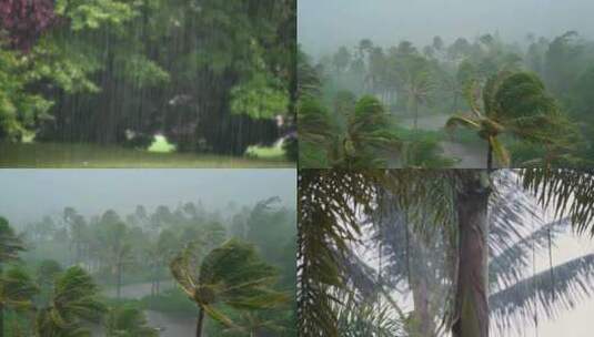 美国夏威夷不同类型的雨高清在线视频素材下载