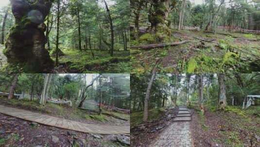 雨崩村航拍高清在线视频素材下载