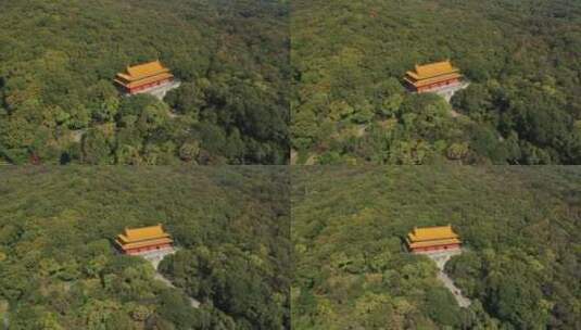 航拍南京钟山景区高清在线视频素材下载
