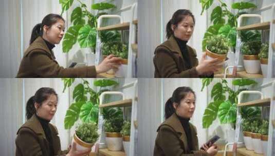 中年女性在花店选购绿植盆栽高清在线视频素材下载