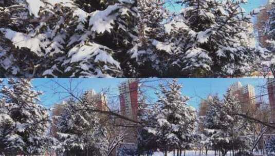 冬天公园老树小河雪景高清在线视频素材下载
