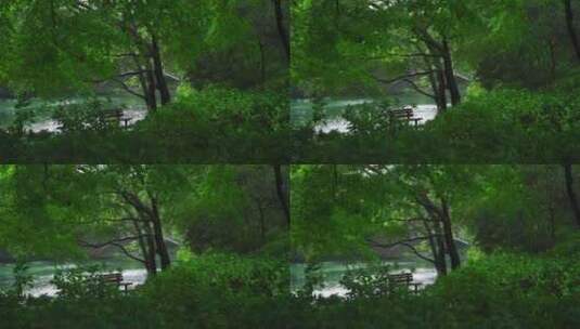 诗画江南植物园林4K高清在线视频素材下载