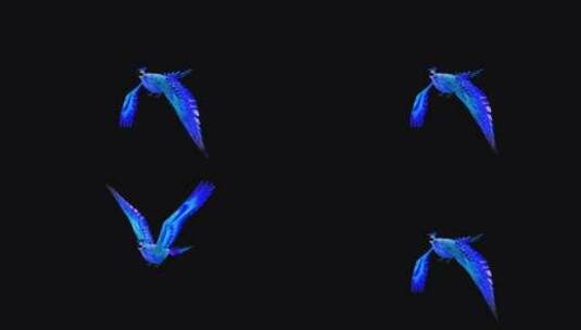 3D渲染漂亮藍色鳳凰飛翔動畫高清在线视频素材下载