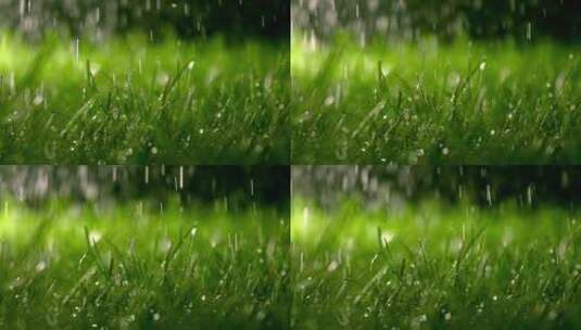 绿草下雨高清在线视频素材下载