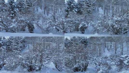 雪花飘落下雪时雪花飞舞近景高清在线视频素材下载