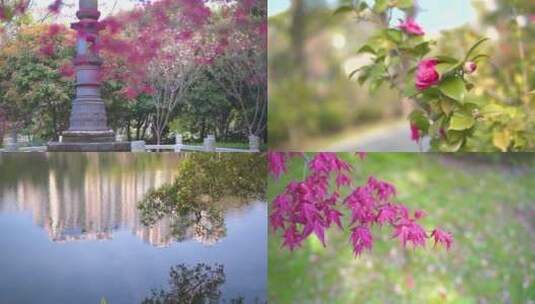 公园里的花草 河流 树木 景色 倒影高清在线视频素材下载