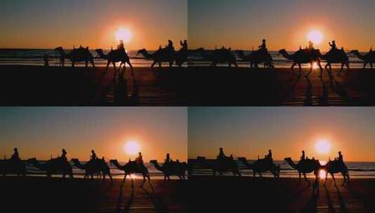 丝绸之路楼兰沙漠骆驼高清在线视频素材下载