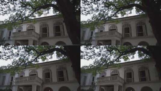 树林前景白色房子 福州烟台山前美国领事馆高清在线视频素材下载
